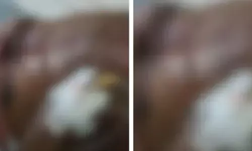 കുടുംബ കലഹം; പത്തനംതിട്ടയില്‍ യുവാവ് ഭാര്യയടക്കം മൂന്ന് പേരെ കുത്തിപ്പരിക്കേല്‍പ്പിച്ചു; പ്രതിക്കായി തിരച്ചില്‍ ഊര്‍ജിതമാക്കി പോലീസ്