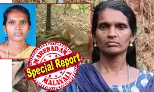 കാട്ടാനയേയും പുലിയേയും ഭയന്നില്ല; മക്കള്‍ക്ക് വേണ്ടി വന്യ മൃഗങ്ങളോട് പൊരുതി മുമ്പോട്ട് പോയി; ഒടുവില്‍ വൈദ്യുത കെണിയില്‍ കുടുങ്ങി ജീവന്‍ പോയി; പശുക്കടവ് കോങ്ങാട് മലയില്‍ ഷീബയുടെ ജീവനെടുത്തതും അനധികൃത വൈദ്യുതി കെണി; അന്വേഷണത്തിന് വനംവകുപ്പ്; കോങ്ങാട് തേങ്ങലില്‍