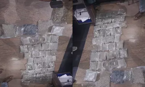 തിരുവനന്തപുരം വിമാനത്താവളത്തില്‍ വന്‍ ലഹരിവേട്ട; യാത്രക്കാരനില്‍ നിന്നും 12 കിലോയിലധികം ഹൈബ്രിഡ് കഞ്ചാവ് പിടികൂടി