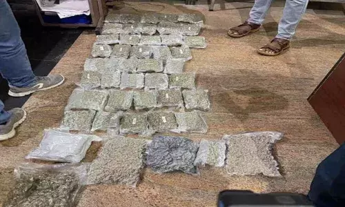 വിദേശത്ത് നിന്നും 13 കിലോ ഹൈബ്രിഡ് കഞ്ചാവുമായെത്തി; രഹസ്യ വിവരത്തിൽ പരിശോധന; കോഴിക്കോട് സ്വദേശി പിടിയിൽ