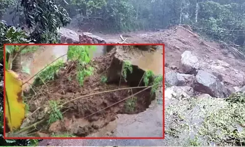 വാണിയംകുളത്ത് ശക്തമായ മലവെള്ളപ്പാച്ചിൽ; വീടുകളുടെ മതിൽ ഇടിഞ്ഞ് താഴ്ന്നു; ഉരുൾ പൊട്ടലെന്ന് സംശയം