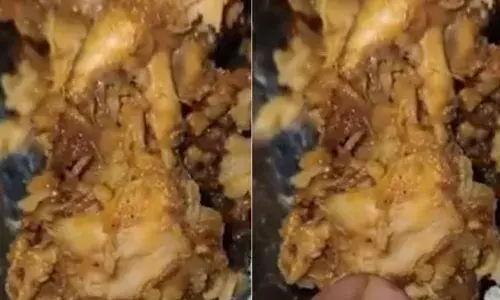 ചിക്കൻ ബിരിയാണിയിൽ പുഴുക്കൾ; പരിശോധനയിൽ ഫ്രീസറിൽ പഴകിയ ഭക്ഷ്യവസ്തുക്കൾ; ബാലുശ്ശേരിയിലെ ഹോട്ടൽ അടപ്പിച്ച് അധികൃതര്‍