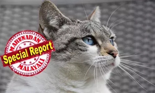 അങ്കണവാടിയില്‍ രണ്ടര വയസ്സുകാരനെ പൂച്ച മാന്തി; വിവരം രഹസ്യമാക്കി വെച്ച് അങ്കണവാടി ജീവനക്കാര്‍; കുഞ്ഞ് പറഞ്ഞ് വീട്ടുകാര്‍ വിവരം അറിയുന്നത് രണ്ട് ദിവസം കഴിഞ്ഞ്: പൂച്ച ചത്തതോടെ ആശങ്ക