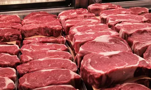 കൊല്ലത്ത് ഹോട്ടലുകളില്‍ മിന്നല്‍ പരിശോധന; 100 കിലോഗ്രാം പഴകിയ മാംസം പിടിച്ചെടുത്തു