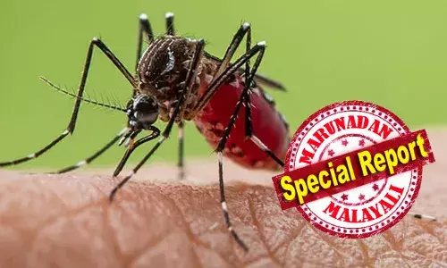 ചിക്കന്‍ ഗുനിയ ആഞ്ഞടിച്ച ആ നശിച്ച വര്‍ഷങ്ങള്‍ ഓര്‍ക്കുന്നുണ്ടോ?ആ വൃത്തികെട്ട രോഗം ലോകത്തെ ഭയപ്പെടുത്തുന്നു; ചൈനയില്‍ നിന്നും ഇന്ത്യയില്‍ നിന്നുമൊക്കെ യാത്ര ചെയ്തവരിലൂടെ യൂറോപ്പിലേക്കും പടര്‍ന്നു; ശരീരം തളര്‍ത്തുന്ന രോഗത്തെ ഭയന്ന് രാജ്യങ്ങള്‍