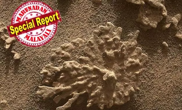 ചൊവ്വാഗ്രഹത്തില്‍ ഒരു കാലത്ത് ജീവന്‍ ഉണ്ടായിരുന്നു..! പവിഴപ്പുറ്റുകളുടെ ആകൃതിയിലുള്ള ഒരു പാറക്കല്ല് കണ്ടെത്തിയത് നാസയുടെ ക്യൂരിയോസിറ്റി റോവര്‍; ചൊവ്വയിലെ ജീവന്റെ അടയാളത്തെ കുറിച്ച് പുതിയ ചര്‍ച്ചകള്‍;  വെള്ളം ഒഴുകിയ കാലത്ത് രൂപപ്പെട്ടതാകാമെന്ന നാസ