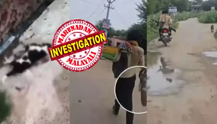 ബൈക്കിന് പിന്നിൽ തോക്കുമേന്തി ഇരിക്കുന്ന ഒരാൾ; വെടി കൊണ്ട് തെരുവിലൂടെ പേടിച്ച് ഓടുന്ന നായ്ക്കൾ; ചിലത് പാതി വഴിയിൽ ചത്ത് വീണു; പശുക്കൾ അടക്കം പ്രാണഭയം കൊണ്ട് ഓടുന്ന കാഴ്ച; മിണ്ടാപ്രാണികൾക്ക് നേരെ കൊടും ക്രൂരത; ദയനീയ ദൃശ്യങ്ങൾ പുറത്ത്