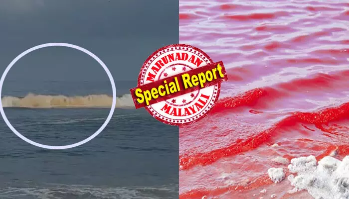 രാത്രി കടൽ കാണാനെത്തിയവരുടെ കണ്ണിൽ അസാധാരണ വെളിച്ചം തട്ടി; കണ്ടവർ പരിഭ്രാന്തിയിലായി; നേരം വെളുത്തപ്പോൾ അമ്പരപ്പ്; എടക്കഴിയൂർ ബീച്ച് മുതല്‍ പുതുവൈപ്പ് വരെ നിറ വ്യത്യാസം; ജല സാമ്പിളുകൾ ശേഖരിച്ച് കുഫോസ്; ആശങ്കയിൽ നാട്ടുകാർ