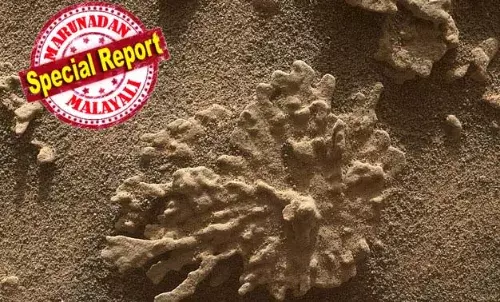 ചൊവ്വാഗ്രഹത്തില്‍ ഒരു കാലത്ത് ജീവന്‍ ഉണ്ടായിരുന്നു..! പവിഴപ്പുറ്റുകളുടെ ആകൃതിയിലുള്ള ഒരു പാറക്കല്ല് കണ്ടെത്തിയത് നാസയുടെ ക്യൂരിയോസിറ്റി റോവര്‍; ചൊവ്വയിലെ ജീവന്റെ അടയാളത്തെ കുറിച്ച് പുതിയ ചര്‍ച്ചകള്‍;  വെള്ളം ഒഴുകിയ കാലത്ത് രൂപപ്പെട്ടതാകാമെന്ന നാസ