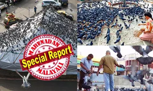 വിതറുന്ന ധാന്യമണികള്‍ക്കിടെ പറന്നുയരുന്ന പ്രാവിന്‍കൂട്ടങ്ങള്‍; മുംബൈയുടെ മുഖമുദ്രയായ കാഴ്ച്ചകള്‍ മങ്ങാന്‍ ഇനിയെത്ര നാള്‍! പരിസ്ഥിതി മലനീകരണത്തെത്തുടര്‍ന്ന് കബൂത്തര്‍ ഖാനകള്‍ അടച്ചുപൂട്ടാന്‍ സര്‍ക്കാര്‍; പ്രതീക്ഷകള്‍ക്കപ്പുറം പ്രതിഷേധം കനത്തതോടെ വിഷയം വിദഗ്ധസമിതിക്ക് വിടാന്‍ കോടതിയും; മഹാരാഷ്ട്ര രാഷ്ട്രീയത്തെപ്പോലും പ്രാവിന്‍കൂട്ടങ്ങള്‍ പിടിച്ചുകുലുക്കുമ്പോള്‍