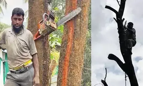 സ്‌കൂള്‍ കെട്ടിടത്തിന് മുകളിലേക്ക് ചാഞ്ഞ് വലിയ മരം; മരത്തിന് മുകളില്‍ കയറി വെട്ടി മാറ്റി അധ്യാപകന്‍