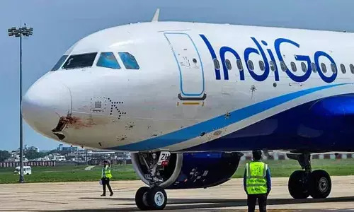 യാത്രക്കാരിക്ക് കറപിടിച്ച വൃത്തിഹീനമായ സീറ്റ് നല്‍കി;  പരാതി വിമാന കമ്പനി അവഗണിച്ചു;  ഇന്‍ഡിഗോ ഒന്നരലക്ഷം രൂപ നഷ്ടപരിഹാരം നല്‍കണമെന്ന് ഉത്തരവ്