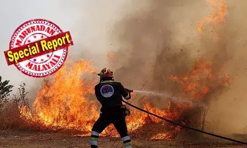 കൊടുംചൂടും കാട്ടുതീയും പടര്‍ന്ന് പിടിച്ച് യൂറോപ്പ്; ഗ്രീസില്‍ മനുഷ്യര്‍ വെന്തു മരിക്കുന്നു; വെസ്യുവിസ് കൊടുമുടി അടച്ച് ടൂറിസ്റ്റുകളെ ഒഴിവാക്കി ഇറ്റലി; ഫ്രാന്‍സിലെ വൈന്‍ യാര്‍ഡുകള്‍ ചാരനിറത്തിലായി; ബ്രിട്ടനിലും കൊടും ചൂടിനെ ദിനങ്ങള്‍ എത്തുന്നു