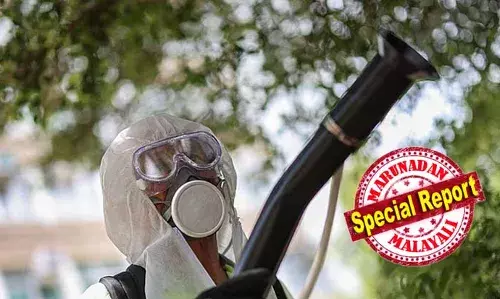 ശ്രീമതി ടീച്ചറെ കുപ്രസിദ്ധയാക്കിയ ചിക്കുന്‍ ഗുനിയ ഇപ്പോള്‍ പണിയാകുന്നത് ചൈനക്ക്; ഗ്വാങ്‌ഡോങ് പ്രവിശ്യയില്‍ ചിക്കുന്‍ഗുനിയ അതിവേഗം വ്യാപിക്കുന്നു;  ജൂലായ് മുതല്‍ റിപ്പോര്‍ട്ട് ചെയ്തത് ഏഴായിരത്തിലധികം കേസുകള്‍; 12 നഗരങ്ങളില്‍ രോഗബാധ; ചിക്കന്‍ഗുനിയ ബാധയാല്‍ മരണങ്ങളില്ലെന്ന് ചൈനീസ് അധികൃതര്‍