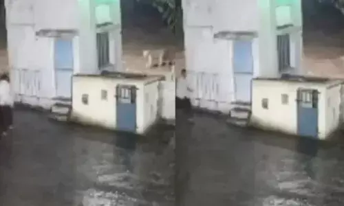 ആരാണ്...എന്താണ്..!!; രാത്രി നടക്കാനിറങ്ങിയ യുവാവ്; ഒരു വളവ് കഴിഞ്ഞതും നെഞ്ചിടിപ്പ് കൂട്ടി ഒരു കണ്ടുമുട്ടൽ; നിമിഷ നേരം കൊണ്ട് രണ്ടുപേരും ചിതറിയോടി; ചിരിപ്പടർത്തി വീഡിയോ