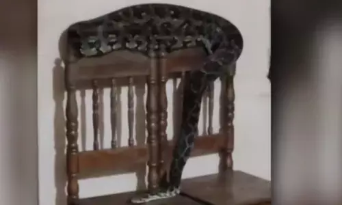 എന്നെയും കൂടി..പഠിപ്പിക്കോ..; വൈകിട്ട് ഹോം വർക്ക് എഴുതാൻ വന്ന കുട്ടി ഞെട്ടി; കസേരയിലിരുന്നത് മറ്റൊരു അതിഥി; പത്തുവയസുകാരി രക്ഷപ്പെട്ടത് ഭാഗ്യം കൊണ്ട്