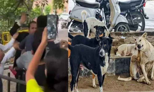 സുപ്രീം കോടതിക്ക് മുന്നിൽ നിന്നവർ കേട്ടത് നല്ല പാട്ടാസ് സൗണ്ട്; തിരിഞ്ഞുനോക്കുമ്പോൾ ഒരു നായ് സ്നേഹിയുടെ കരച്ചിൽ; കരണത്തടി എഫക്ടിന് പിന്നിൽ അഭിഭാഷകൻ; സാറ്റിസ്‌ഫൈഡ് എന്ന് കമെന്റുകൾ