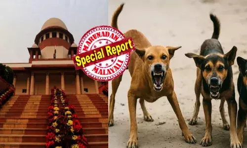മുഴുവൻ തെരുവുനായകളെയും പിടികൂടണം; എന്നിട്ട് നഗരത്തിനുപുറത്ത് ദൂരെയെവിടെയെങ്കിലും വിടണം..!!; മൃഗസ്നേഹികളുടെ മുറവിളികൾക്കിടെ വിഷയം മൂന്നംഗബെഞ്ചിന് വിട്ട് ചീഫ് ജസ്റ്റിസ്; കേസ് നാളെ പരിഗണിക്കും