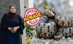 രാവിലെ പറമ്പിൽ കോഴികൾക്ക് തീറ്റ നൽകവെ കാലിൽ എന്തോ..കടിച്ചത് ശ്രദ്ധിച്ചു; പരിശോധനയിൽ ദാരുണ കാഴ്ച; തൃശൂരിൽ പാമ്പ് കടിയേറ്റ യുവതി മരിച്ചു; വിടവാങ്ങിയത് നാടിന്റെ മികച്ച വനിത കർഷക അവാർഡ് ജേതാവ് രാവിലെ പറമ്പിൽ കോഴികൾക്ക് തീറ്റ നൽകവെ കാലിൽ എന്തോ..കടിച്ചത് ശ്രദ്ധിച്ചു; പരിശോധനയിൽ ദാരുണ കാഴ്ച; തൃശൂരിൽ പാമ്പ് കടിയേറ്റ യുവതി മരിച്ചു; വിടവാങ്ങിയത് നാടിന്റെ മികച്ച വനിത കർഷക അവാർഡ് ജേതാവ്