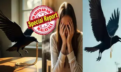 മുറ്റമടിക്കുന്നതിടെ ചൂലിൽ കുടുങ്ങിയ മാല ഊരിവെച്ചു; സ്ത്രീയുടെ കണ്ണ് തെറ്റിയ തക്കം നോക്കി സ്വർണമാലയുമായി പറന്നു; നിലവിളിച്ച് പിന്നാലെ ഓടി അംഗണവാടി ജീവനക്കാരി; ബഹളം കേട്ട് ഒപ്പം നാട്ടുകാരും കൂടി; ഒറ്റയേറിൽ കൊക്കില്‍ നിന്നും മാല താഴേക്ക് വീണു; മൂന്നര പവന്റെ മാല തിരിച്ചു കിട്ടിയ സന്തോഷത്തിൽ കുടുക്കവളവിലെ ഷേർളി