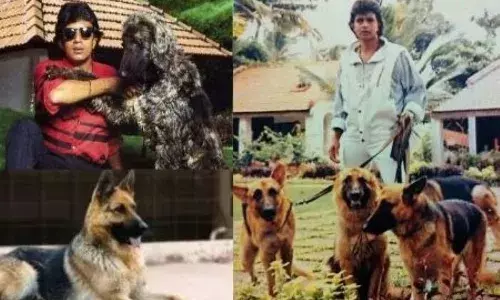 ഒന്നര ഏക്കറുള്ള ഫാം ഹൗസിൽ 116 നായ്ക്കൾ; കളിസ്ഥലങ്ങൾ മുതൽ മെഡിക്കൽ സൗകര്യങ്ങൾ വരെ; നായ്ക്കൾക്കായി 45 കോടിയുടെ സ്വത്ത് മാറ്റിവെച്ചു; വാർത്തകളിൽ ഇടം നേടി ബോളിവുഡ് താരത്തിന്റെ മഡ് ഐലൻഡ്
