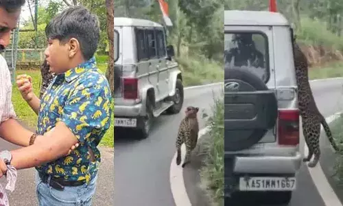 ബംഗളൂരുവിലെ ബന്നാര്‍ഘട്ടയില്‍ ജീപ്പ് സഫാരിക്കിടെ 13കാരനെ പുള്ളിപ്പുലി ആക്രമിച്ചു; രക്ഷപ്പെട്ടത് തലനാരിഴക്ക്; ഞെട്ടിക്കുന്ന വിവരങ്ങള്‍ പുറത്ത്