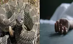 ഒന്ന് കൊഞ്ചിക്കാൻ അറിയാതെ കൈയ്യിൽ എടുത്തത് കൊടുംഭീകരനെ; കടിയേറ്റ് നിമിഷങ്ങൾക്കുള്ളിൽ യുവാവിന് ദാരുണാന്ത്യം; നടുക്കം മാറാതെ ഉറ്റവർ ഒന്ന് കൊഞ്ചിക്കാൻ അറിയാതെ കൈയ്യിൽ എടുത്തത് കൊടുംഭീകരനെ; കടിയേറ്റ് നിമിഷങ്ങൾക്കുള്ളിൽ യുവാവിന് ദാരുണാന്ത്യം; നടുക്കം മാറാതെ ഉറ്റവർ