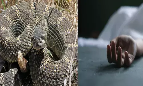 ഒന്ന് കൊഞ്ചിക്കാൻ അറിയാതെ കൈയ്യിൽ എടുത്തത് കൊടുംഭീകരനെ; കടിയേറ്റ് നിമിഷങ്ങൾക്കുള്ളിൽ യുവാവിന് ദാരുണാന്ത്യം; നടുക്കം മാറാതെ ഉറ്റവർ