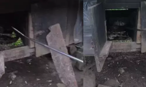 കോഴിക്കൂട്ടിൽ ശ്രദ്ധിച്ചു നോക്കിയ തൊഴിലാളി കണ്ടത് കൂറ്റനൊരു അതിഥിയെ; പെരുമ്പാമ്പിനെ പിടിച്ച് കാട്ടിൽ വിട്ടു; സംഭവം തെന്മലയിൽ