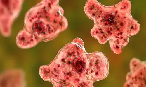 കോഴിക്കോട് അമീബിക് മസ്തിഷ്‌ക ജ്വരം ബാധിച്ച മൂന്നുമാസം പ്രായമുള്ള കുഞ്ഞിന്റെ നില ഗുരുതരമായി തുടരുന്നു; രണ്ടാഴ്ചയിലേറെയായി കുഞ്ഞിന്റെ ജീവന്‍ നിലനിര്‍ത്തുന്നത് വെന്റിലേറ്ററിന്റെ സഹായത്തോടെ