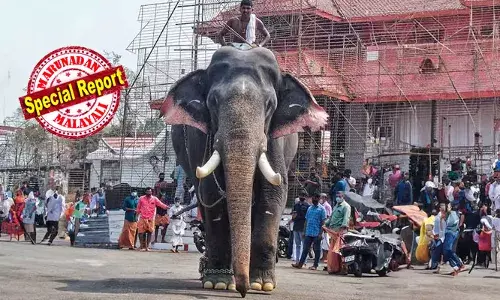 കോടനാട് ആനക്കൂട്ടില്‍ നിന്നും പരവന്‍പറമ്പില്‍ വെള്ളൂക്കുന്നേല്‍ വീട്ടിലെത്തുമ്പോള്‍ പ്രായം ഏഴ് വയസ്സ് മാത്രം; കുറുമ്പുകാട്ടി നടന്ന കുഞ്ഞിക്കൊമ്പന്‍ ഈരാറ്റുപേട്ടക്കാരുടെ പ്രിയപ്പെട്ട അയ്യപ്പനായി;  വളര്‍ന്നപ്പോള്‍ ആനപ്രേമികളുടെ മനം കവര്‍ന്ന വശ്യസൗന്ദര്യം;  ശാന്തപ്രകൃതനെ തേടിയെത്തിയ ഒട്ടേറെ പട്ടങ്ങള്‍; ഒടുവില്‍ നോവായി ആ വിടവാങ്ങല്‍