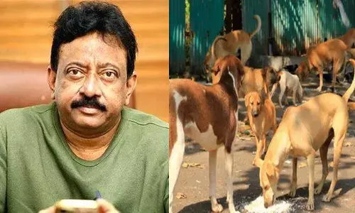 അത്രയ്ക്ക് ഇഷ്ടവും കരുതലും ഉണ്ടെങ്കിൽ ഒരു കാര്യം ചെയ്യ്...; നിങ്ങളുടെ എസി മുറികൾ തുറന്നുകൊടുക്കൂ; നായ സ്നേഹികളെ വിമർശിച്ച് സംവിധായകൻ രാം ഗോപാൽ വർമ്മ