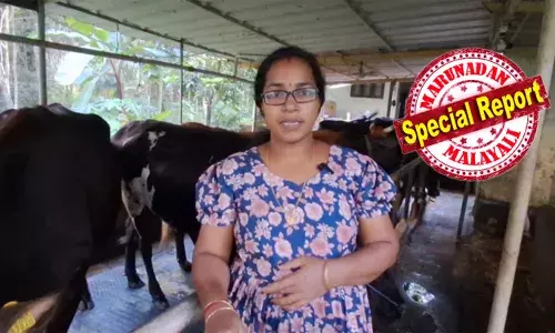 11.60 ലക്ഷം മുടക്കി ഫാം ഇട്ടാല്‍ 5.60 ലക്ഷം സബ്സിഡി; ക്ഷീര വികസന വകുപ്പിന്റെ എംഎസ്ഡിപി പദ്ധതി വിശ്വസിച്ച് വായ്പയെടുത്തവര്‍ പെട്ടു; ക്ഷീരകര്‍ഷകരെ സ്മാര്‍ട്ടായി പറ്റിച്ച് ചിഞ്ചുറാണിയും കൂട്ടരും;  പദ്ധതി വിഹിതം വെട്ടിക്കുറച്ചത് സബ്‌സിഡിയില്ല; കടക്കെണിയില്‍ കര്‍ഷകര്‍