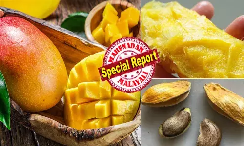 മാങ്ങാണ്ടിയോട് നിങ്ങൾക്ക് പുച്ഛമാണോ?; എങ്കിൽ അതൊക്കെ ഇനി മറന്നേക്ക്; ആള് നമ്മൾ വിചാരിച്ചതുപോലെയല്ല; രൂചിയോടെ തിന്നു കഴിഞ്ഞ് വലിച്ചെറിയുന്ന ഇവന് ഗുണങ്ങളേറെ..; കഴിച്ചാൽ മുടിയും തൊലിയുമെല്ലാം വെട്ടിത്തിളങ്ങും; ശരീരഭാരം കുറയാനും ബെറ്റർ; പഠനങ്ങൾ പറയുന്നത്