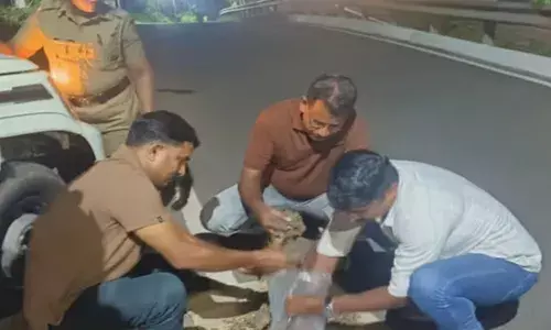 രാത്രി ബാഗും തൂക്കി നടക്കുന്നയാളെ കണ്ട് സംശയം; പൊലീസ് അടുത്തെത്തിയതും വെപ്രാളം; പരിശോധനയിൽ 2.5 കിലോ കഞ്ചാവ് പിടികൂടി