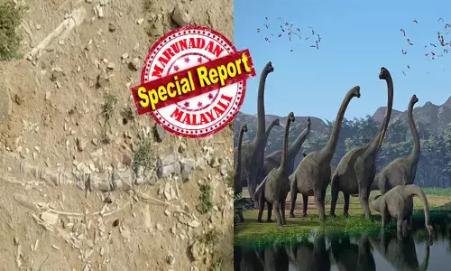 തടാകത്തിന് സമീപം കുഴിയെടുക്കുമ്പോൾ കണ്ടത് അമ്പരിപ്പിക്കുന്ന കാഴ്ച; അസാധാരണ വലിപ്പം ദർശിച്ച് പലരും പേടിച്ചോടി; സ്ഥലത്ത് ജിയോളജി വകുപ്പ് വരെ പാഞ്ഞെത്തി; യുഗങ്ങൾക്ക് മുമ്പ് ഇന്ത്യയിലും അവരുടെ കാൽപ്പാടുകൾ പതിഞ്ഞോ?; ജയ്സാൽമീറിൽ സംഭവിക്കുന്നത്