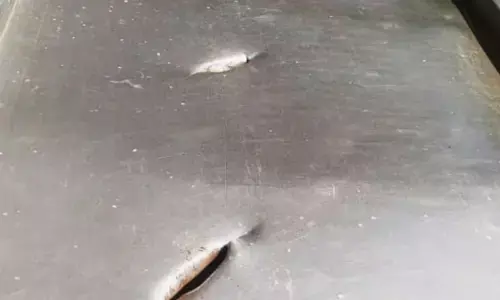 ഉച്ചയ്ക്ക് കട അടച്ചിട്ട സമയം നോക്കി വന്നു; രണ്ട് പേ‌ർ മീൻകടയിലേക്ക് ഓടിക്കയറി ആക്രമണം; ഷീറ്റും പൂട്ടുമെല്ലാം തകർത്തെറിഞ്ഞു; മൂന്നാം കണ്ണിൽ കുടുങ്ങിയെന്ന് പോലീസ്