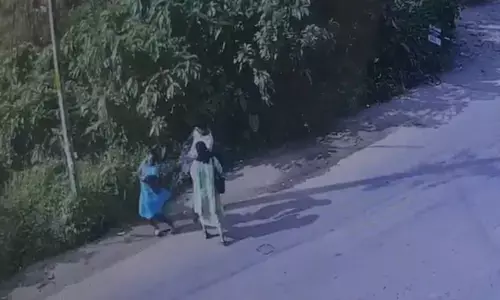 വാക്കുതർക്കം; തിരുവമ്പാടിയിൽ നടുറോഡിൽ സ്ത്രീയെ ചവിട്ടിവീഴ്ത്തി; അന്വേഷണം ആരംഭിച്ച് പോലീസ്