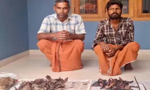 കാട്ടിൽ അതിക്രമിച്ച് കയറി പുള്ളിമാനെ വേട്ടയാടി പിടിച്ചു; രണ്ടുപേർ വനംവകുപ്പിന്റെ പിടിയിൽ; സംഭവം പുൽപ്പള്ളിയിൽ