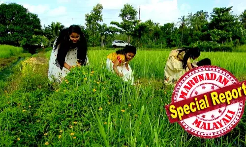 മാവേലി മന്നന്റെ വരവറിയിച്ച് അത്തം പിറന്നു; ഇത്തവണ അത്തം പതിനൊന്നിന് തിരുവോണം: തൃപ്പൂണിത്തറയില്‍ അത്തച്ചമയ ഘോഷയാത്ര ഇന്ന്