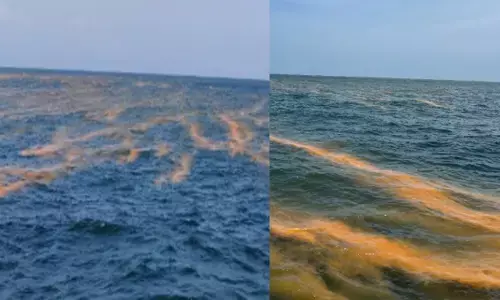 അലയടിച്ചെത്തിയ തിരകളെ കണ്ട് ആളുകൾക്ക് അമ്പരപ്പ്; കടലിൽ തെളിഞ്ഞത് അസാധാരണ പ്രതിഭാസം; മീനുകളെ കാര്യമായി ബാധിക്കും; നിറ മാറ്റത്തിന്റെ കാരണം വെളിപ്പെടുത്തി അധികൃതർ