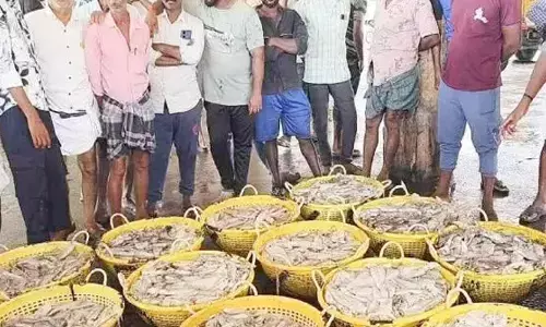 തീ​വ്ര​ത​യേ​റി​യ ലൈ​റ്റും ഡ​ബി​ൾ നെ​റ്റും ഉ​പ​യോ​ഗി​ച്ച്​ മ​ത്സ്യ​ബ​ന്ധ​നം; ഉൾക്കടലിൽ പരിശോധന ശക്തമാക്കണമെന്ന മുന്നറിയിപ്പും പാലിക്കുന്നില്ല; തിരിഞ്ഞുനോക്കാതെ ഫിഷറീസ് വകുപ്പ്