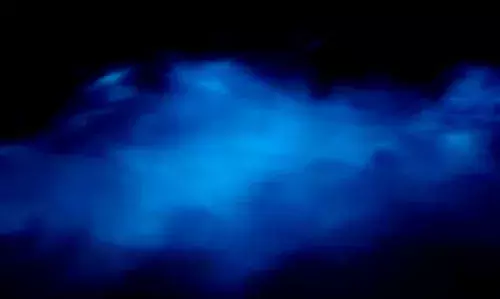 ചുവന്ന കടല്ത്തിര (റെഡ് ടൈഡ്): കാരണം തുടര്ച്ചയായ മഴയും പാരിസ്ഥിതിക വ്യിതയാനങ്ങളുമെന്ന് സിഎംഎഫ്ആര്ഐ ചുവന്ന കടല്ത്തിര (റെഡ് ടൈഡ്): കാരണം തുടര്ച്ചയായ മഴയും പാരിസ്ഥിതിക വ്യിതയാനങ്ങളുമെന്ന് സിഎംഎഫ്ആര്ഐ