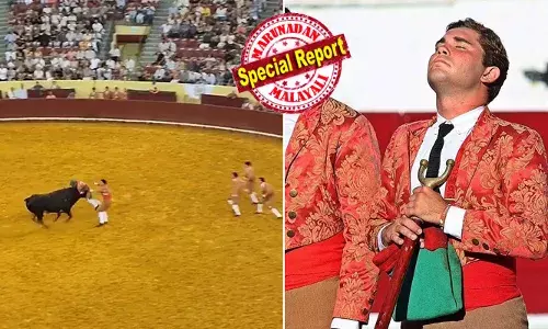 680 കിലോ ഭാരമുള്ള കൂറ്റന്‍ കാള പാഞ്ഞുവന്നപ്പോള്‍ കൊമ്പു കുത്തിക്കാന്‍ ശ്രമം; കുത്തേറ്റ് തെറിച്ചുവീണ 22 കാരന് ദാരുണാന്ത്യം; അലറി വിളിച്ച് കാണികള്‍; കണ്ടുനിന്ന കാണികളിലൊരാള്‍ ഷോക്കില്‍ മരിച്ചുവീണു; ലിസ്ബണിലെ കാളപ്പോര് മത്സരം ദുരന്തമായി മാറിയപ്പോള്‍