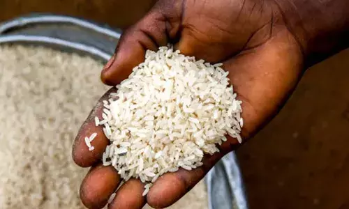 സ്‌കൂള്‍ വിദ്യാര്‍ത്ഥികള്‍ക്ക് അരിവിതരണം തുടങ്ങി; 24.7 ലക്ഷം കുട്ടികള്‍ക്ക് അരി നല്‍കും