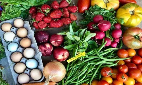 പച്ച മുട്ട വേവിച്ച് കഴിക്കണം...; ഭക്ഷണ സാധനങ്ങൾ പാകം ചെയ്യുമ്പോൾ ഇക്കാര്യങ്ങൾ ശ്രദ്ധിക്കണം; ആരോഗ്യ വിദഗ്ധർ പറയുന്നത്