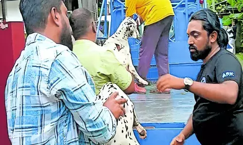 നാലാം ക്ലാസുകാരനായ മകനെയും 26 നായ്ക്കളെയും വാടക വീട്ടിലുപേക്ഷിച്ച് യുവാവ് നാടുവിട്ടു; രാത്രി വൈകിയിട്ടും അച്ഛന്‍ തിരികെ എത്താതായതോടെ വിദേശത്തുള്ള അമ്മയെ വിവരം വിളിച്ചറിയിച്ച് കുഞ്ഞ്:  രക്ഷപ്പെടുത്തിയത് പോലിസെത്തി