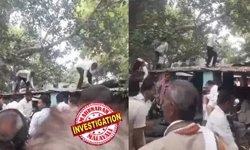 ഭൂമി ഇടപാടിനുള്ള പണവുമായി എത്തി; ബൈക്കില്‍ നിന്നും പണം സൂക്ഷിച്ച ബാഗ് തട്ടിയെടുത്ത് കുരങ്ങന്‍; പിന്നാലെ മരത്തില്‍ നിന്നും നോട്ടുമഴ;  ഉടമയ്ക്ക് നഷ്ടമായത് 28,000 രൂപ