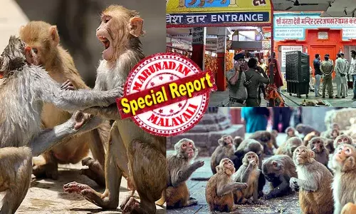 രാവിലെ പശുവിന് പുല്ല് ചെത്താൻ പോകുന്നത് പതിവ് രീതി; ഏറെ ദൂരം നടന്ന് പണി ചെയ്യുന്നതിനിടെ ഒരു സംഘം കുരങ്ങ് കൂട്ടങ്ങളുടെ ഭ്രാന്തമായ നോട്ടം; നിമിഷനേരം കൊണ്ട് ഇരച്ചെത്തി വയോധികനെ കടിച്ചുപറിച്ചു; ജീവന് വേണ്ടി അലറിവിളിച്ചിട്ടും കുടുങ്ങി; ഒടുവിൽ നാട്ടുകാർ ഓടിയെത്തിയപ്പോൾ കണ്ടത് ദാരുണമായ കാഴ്ച; നടുക്കം മാറാതെ ഗ്രാമം