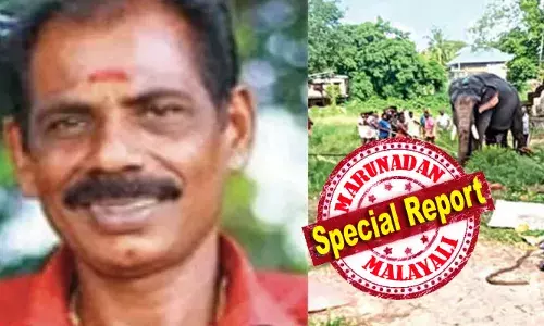 ഹരിപ്പാട് ആനയുടെ കുത്തേറ്റ് പാപ്പാന്‍ മരിച്ചു; ഗുരുതരമായി പരിക്കേറ്റ രണ്ടാം പാപ്പാന്‍ ചികിത്സയില്‍;  അക്രമാസക്തനായത് ഹരിപ്പാട് സുബ്രഹ്‌മണ്യസ്വാമി ക്ഷേത്രത്തിലെ സ്‌കന്ദന്‍: മദപ്പാടിനെ തുടര്‍ന്ന് മാര്‍ച്ച് മുതല്‍ തളച്ചിട്ടിരുന്ന ആനയെ അഴിച്ചത് ആവണി ഉത്സവത്തിന് മുന്നോടിയായി